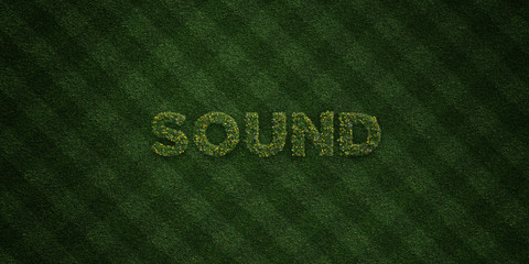 SOUND - fresh Grass letters with flowers and dandelions - 3D rendered royalty free stock image. Can be used for online banner ads and direct mailers..