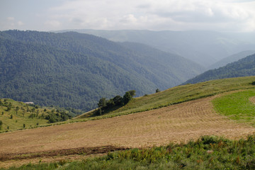 Field on Hills with Mountains on Background