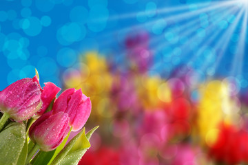 Kwiatowe tło dobre na każdą okazje. © fotodrobik