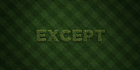 EXCEPT - fresh Grass letters with flowers and dandelions - 3D rendered royalty free stock image. Can be used for online banner ads and direct mailers..