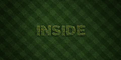 INSIDE - fresh Grass letters with flowers and dandelions - 3D rendered royalty free stock image. Can be used for online banner ads and direct mailers..