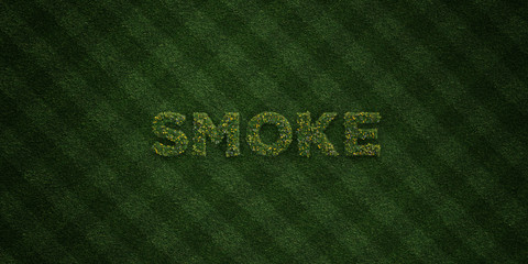 SMOKE - fresh Grass letters with flowers and dandelions - 3D rendered royalty free stock image. Can be used for online banner ads and direct mailers..