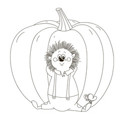 Hedgehog is resting on a pumpkin.