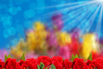 Kwiatowe tło dobre na każdą okazje. © fotodrobik