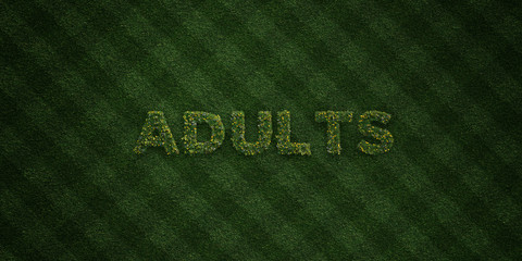 ADULTS - fresh Grass letters with flowers and dandelions - 3D rendered royalty free stock image. Can be used for online banner ads and direct mailers..
