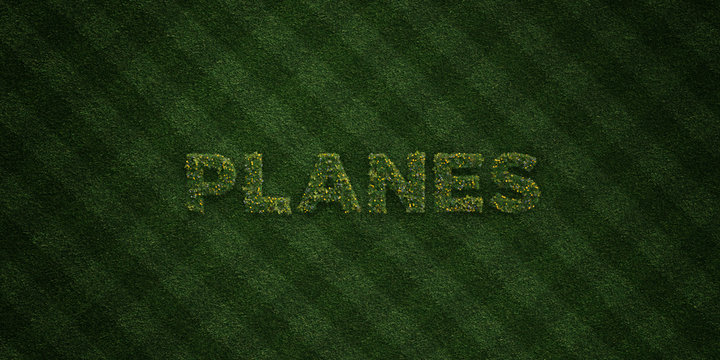 PLANES - fresh Grass letters with flowers and dandelions - 3D rendered royalty free stock image. Can be used for online banner ads and direct mailers..