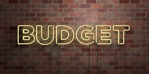 BUDGET - fluorescent Neon tube Sign on brickwork - Front view - 3D rendered royalty free stock picture. Can be used for online banner ads and direct mailers..