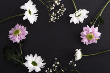 Frame of white and pink chrysanthemum on white wooden table
