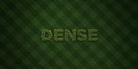 DENSE - fresh Grass letters with flowers and dandelions - 3D rendered royalty free stock image. Can be used for online banner ads and direct mailers..