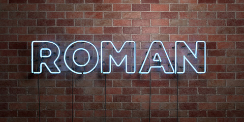 Obraz premium ROMAN - fluorescent Neon tube Sign on brickwork - Front view - 3D rendered royalty free stock picture. Can be used for online banner ads and direct mailers..