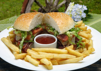 Hamburger with fries