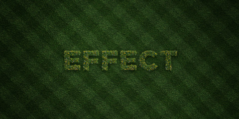 EFFECT - fresh Grass letters with flowers and dandelions - 3D rendered royalty free stock image. Can be used for online banner ads and direct mailers..