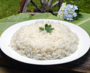 Rice