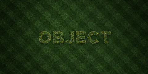OBJECT - fresh Grass letters with flowers and dandelions - 3D rendered royalty free stock image. Can be used for online banner ads and direct mailers..