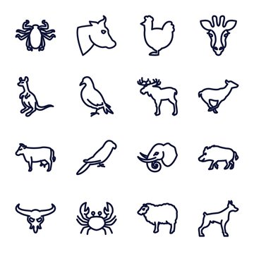 Set of 16 Animals outline icons