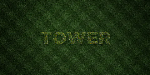 TOWER - fresh Grass letters with flowers and dandelions - 3D rendered royalty free stock image. Can be used for online banner ads and direct mailers..