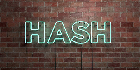 HASH - fluorescent Neon tube Sign on brickwork - Front view - 3D rendered royalty free stock picture. Can be used for online banner ads and direct mailers.. - obrazy, fototapety, plakaty