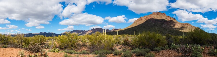 Tucson Mountain Park