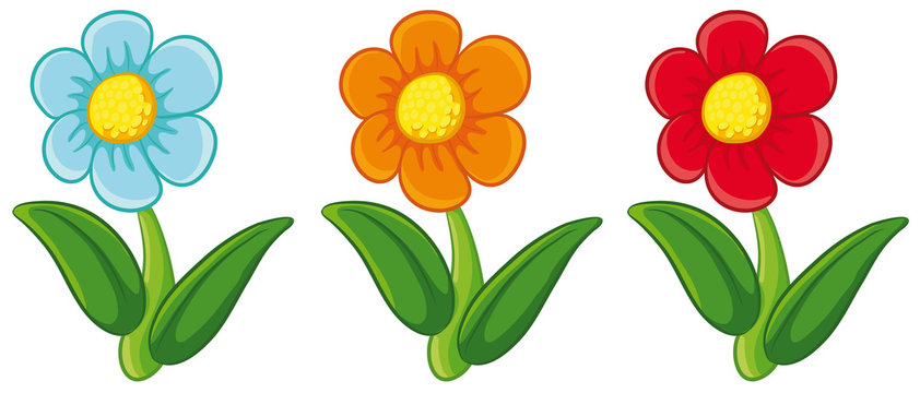 Drei niedliche Frühlingsblumen Vektor-Illustration