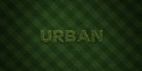 URBAN - fresh Grass letters with flowers and dandelions - 3D rendered royalty free stock image. Can be used for online banner ads and direct mailers..