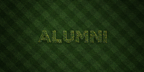 ALUMNI - fresh Grass letters with flowers and dandelions - 3D rendered royalty free stock image. Can be used for online banner ads and direct mailers..