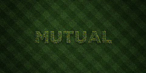 MUTUAL - fresh Grass letters with flowers and dandelions - 3D rendered royalty free stock image. Can be used for online banner ads and direct mailers..