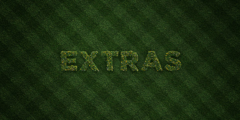 EXTRAS - fresh Grass letters with flowers and dandelions - 3D rendered royalty free stock image. Can be used for online banner ads and direct mailers..