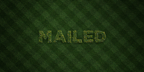 MAILED - fresh Grass letters with flowers and dandelions - 3D rendered royalty free stock image. Can be used for online banner ads and direct mailers..