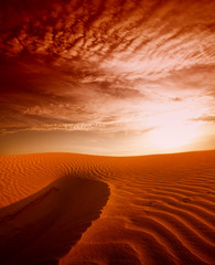 Sunset over the Sahara Desert