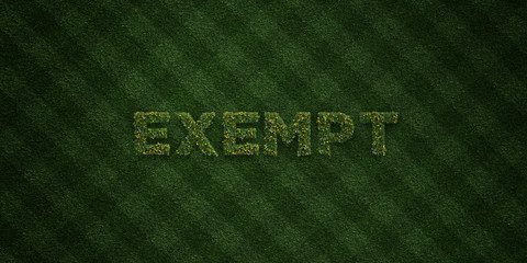 EXEMPT - fresh Grass letters with flowers and dandelions - 3D rendered royalty free stock image. Can be used for online banner ads and direct mailers..