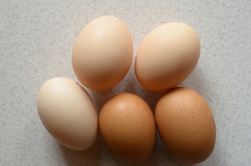 eggs