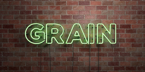 GRAIN - fluorescent Neon tube Sign on brickwork - Front view - 3D rendered royalty free stock picture. Can be used for online banner ads and direct mailers..