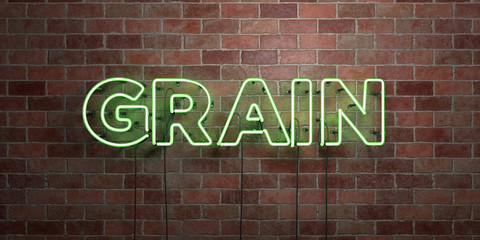 Obraz premium GRAIN - fluorescent Neon tube Sign on brickwork - Front view - 3D rendered royalty free stock picture. Can be used for online banner ads and direct mailers..