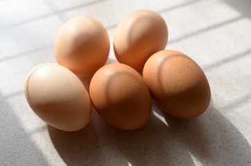 eggs