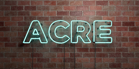 Fototapeta na wymiar ACRE - fluorescent Neon tube Sign on brickwork - Front view - 3D rendered royalty free stock picture. Can be used for online banner ads and direct mailers..
