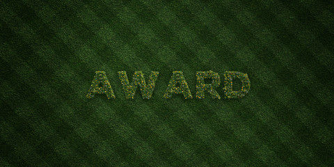 AWARD - fresh Grass letters with flowers and dandelions - 3D rendered royalty free stock image. Can be used for online banner ads and direct mailers..
