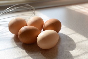 eggs