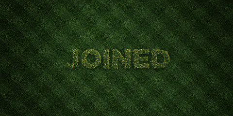 JOINED - fresh Grass letters with flowers and dandelions - 3D rendered royalty free stock image. Can be used for online banner ads and direct mailers..