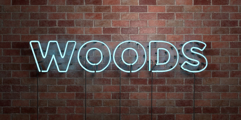 WOODS - fluorescent Neon tube Sign on brickwork - Front view - 3D rendered royalty free stock picture. Can be used for online banner ads and direct mailers..
