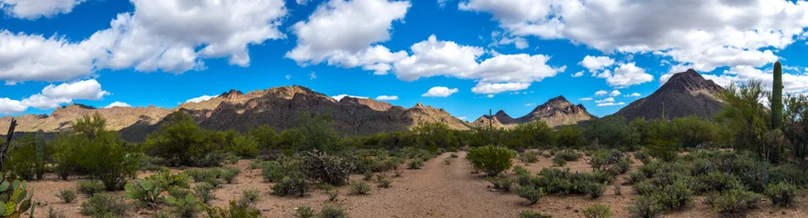 Wandcirkels Pantone 2025 Mocha Mousse Sonoran Desert Arizona  © SE Viera Photo