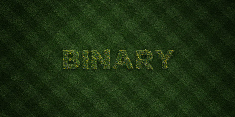 BINARY - fresh Grass letters with flowers and dandelions - 3D rendered royalty free stock image. Can be used for online banner ads and direct mailers..