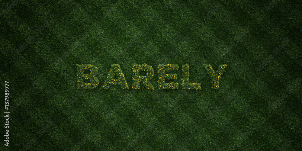 Fototapete BARELY - fresh Grass letters with flowers and dandelions - 3D rendered royalty free stock image. Can be used for online banner ads and direct mailers..