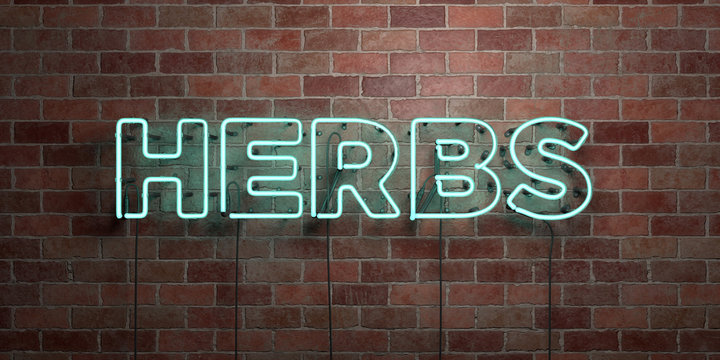 HERBS - fluorescent Neon tube Sign on brickwork - Front view - 3D rendered royalty free stock picture. Can be used for online banner ads and direct mailers..