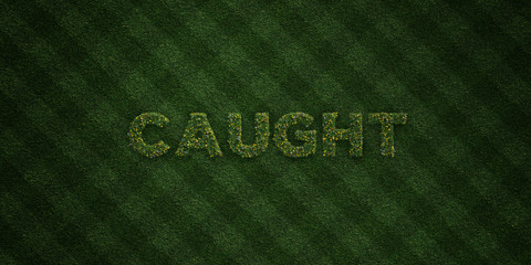 CAUGHT - fresh Grass letters with flowers and dandelions - 3D rendered royalty free stock image. Can be used for online banner ads and direct mailers..