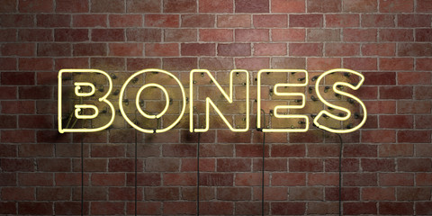 BONES - fluorescent Neon tube Sign on brickwork - Front view - 3D rendered royalty free stock picture. Can be used for online banner ads and direct mailers..