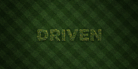 DRIVEN - fresh Grass letters with flowers and dandelions - 3D rendered royalty free stock image. Can be used for online banner ads and direct mailers..