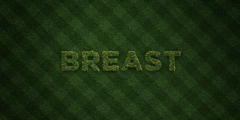 BREAST - fresh Grass letters with flowers and dandelions - 3D rendered royalty free stock image. Can be used for online banner ads and direct mailers..