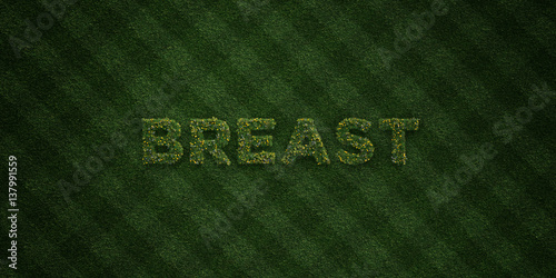 Breast Fresh Grass Letters With Flowers And Dandelions 3d