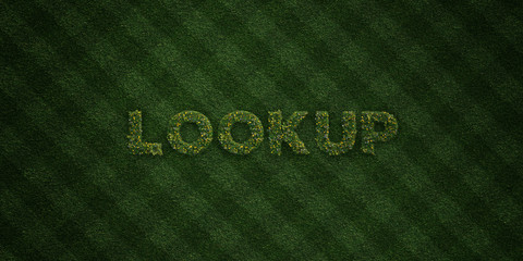 LOOKUP - fresh Grass letters with flowers and dandelions - 3D rendered royalty free stock image. Can be used for online banner ads and direct mailers..