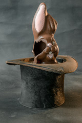 Broken and melted chocolate Easter Bunny sitting against an isolated white background